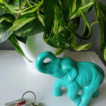 Greathome Apartment Zator