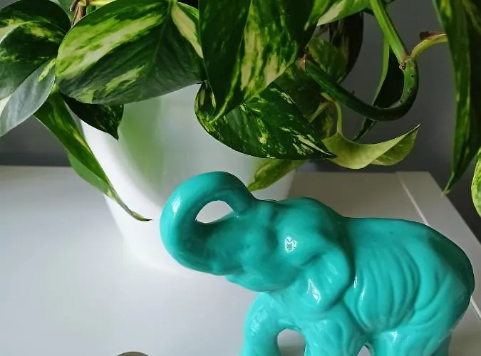 Greathome Appartamento Zator